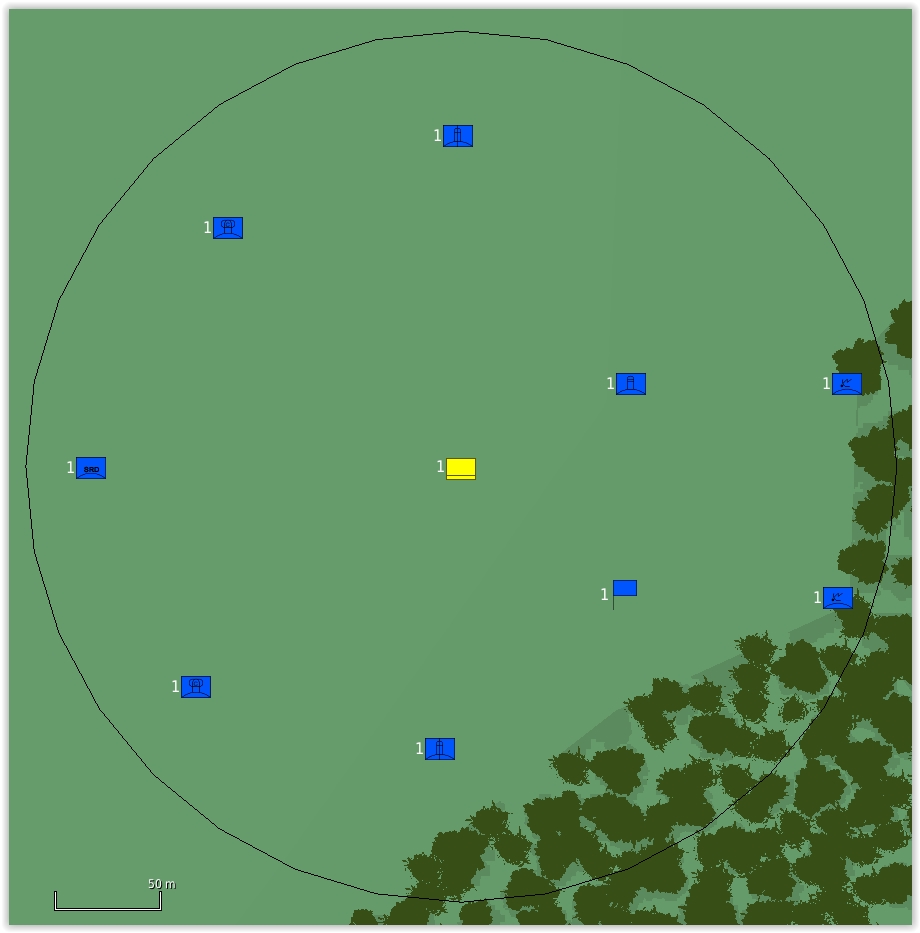 HAWK spt.JPG
